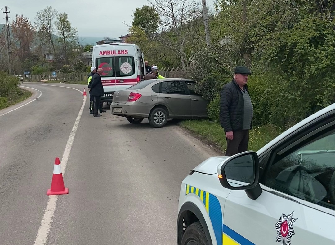 Sokak köpeklerine çarpmamak için kaza yaptı: 2 yaralı