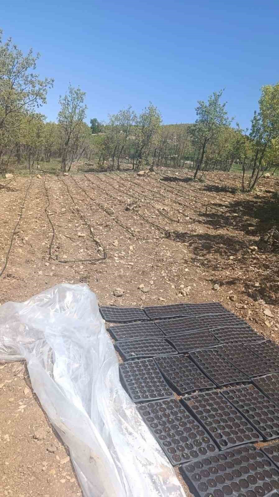 Diyarbakır İl Jandarma Komutanlığından ‘Terör örgütüne darbe’