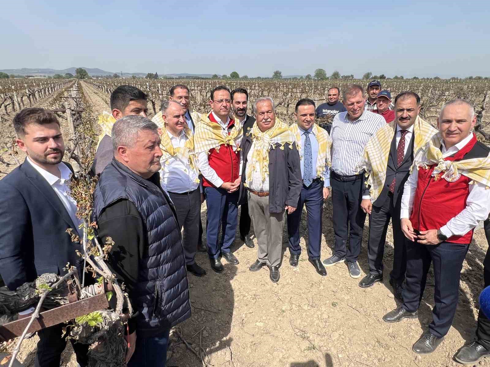 Don afetinden zarar gören üreticilerin yaptıkları masraflar karşılanacak