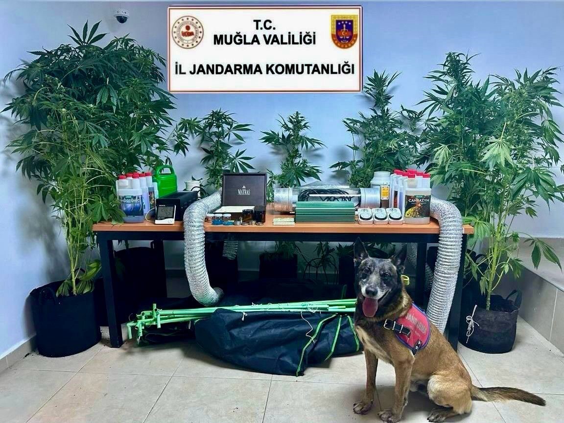 Evini uyuşturucu bahçesine çeviren öğretmen açığa alındı