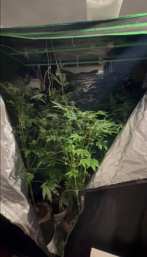 Evini uyuşturucu bah&ccedil;esine &ccedil;eviren &ouml;ğretmen a&ccedil;ığa alındı
