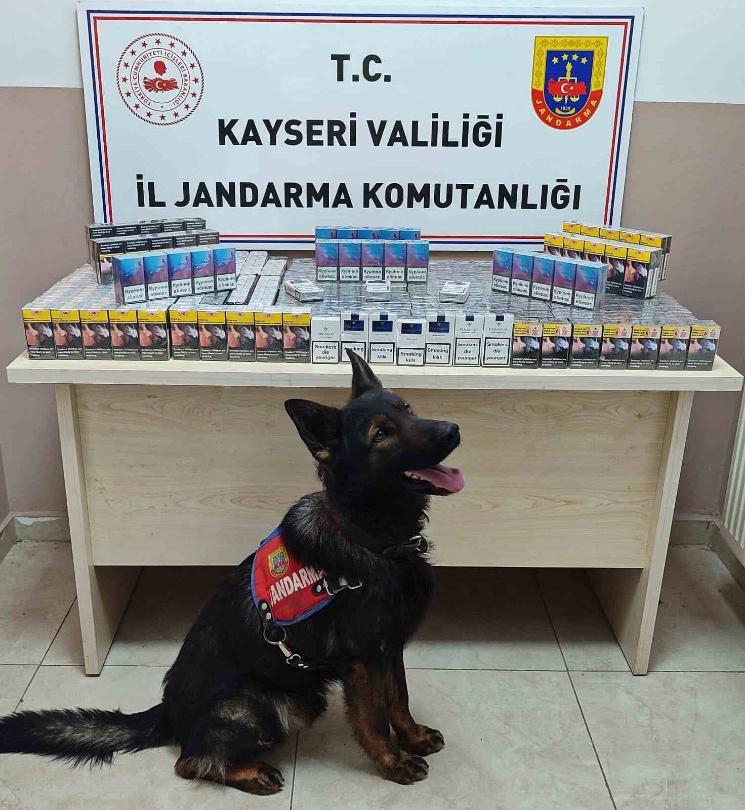 Sigara kaçakçıları jandarmadan kaçamadı