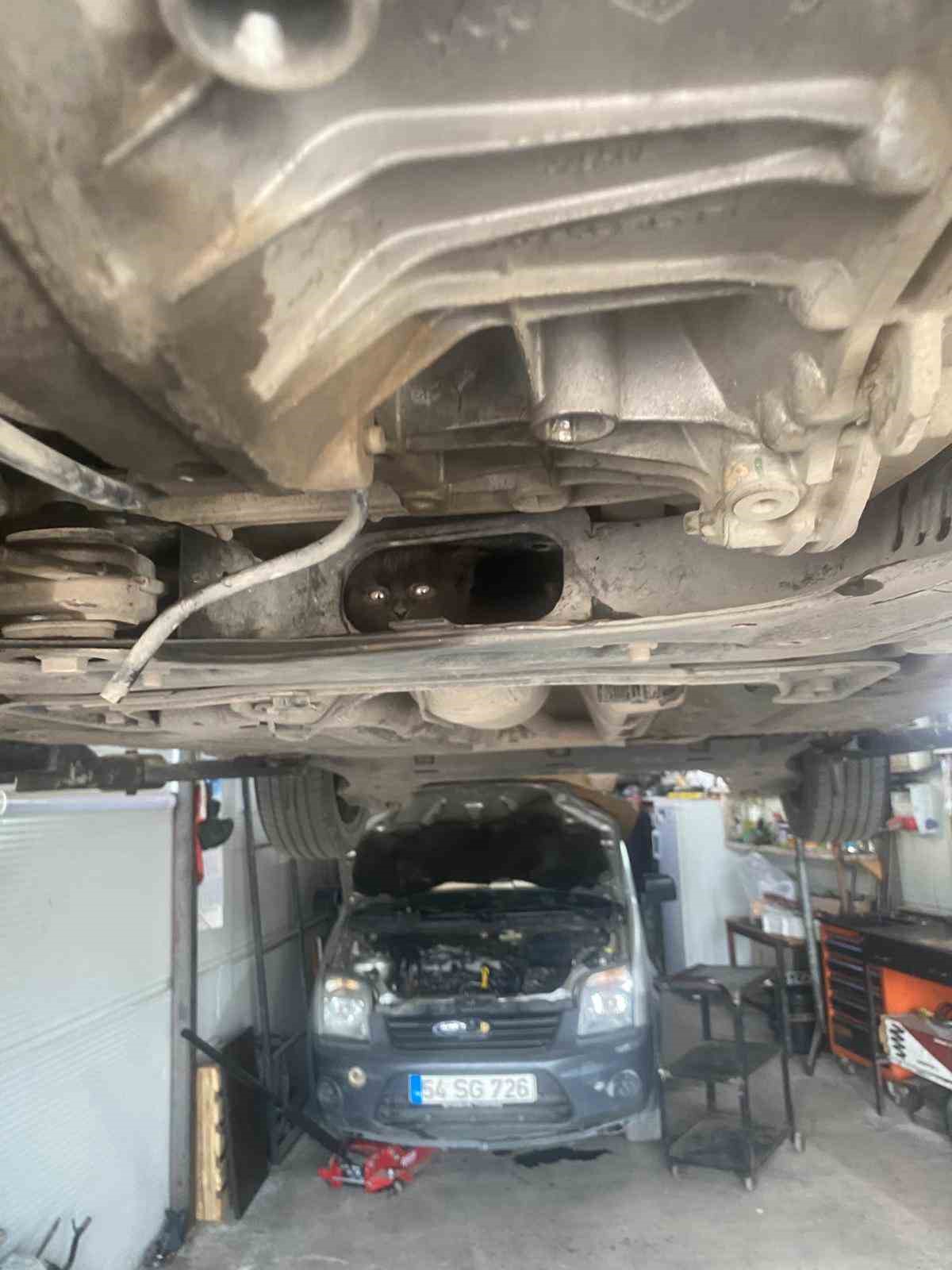 Otomobilin motoruna giren kediyi tamirci kurtardı
