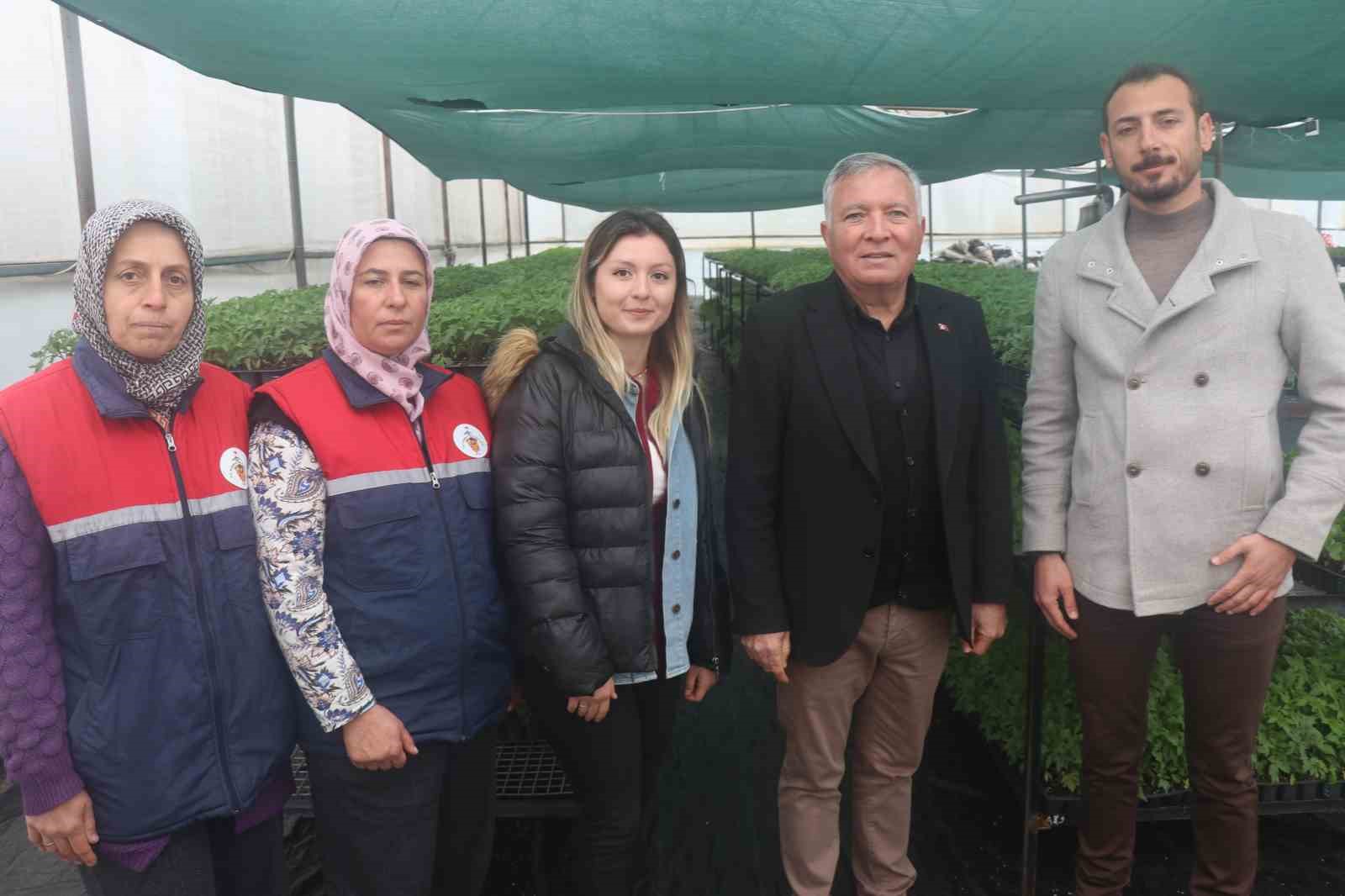 Ata mirası tohumlar milyonlarca fideye dönüştü