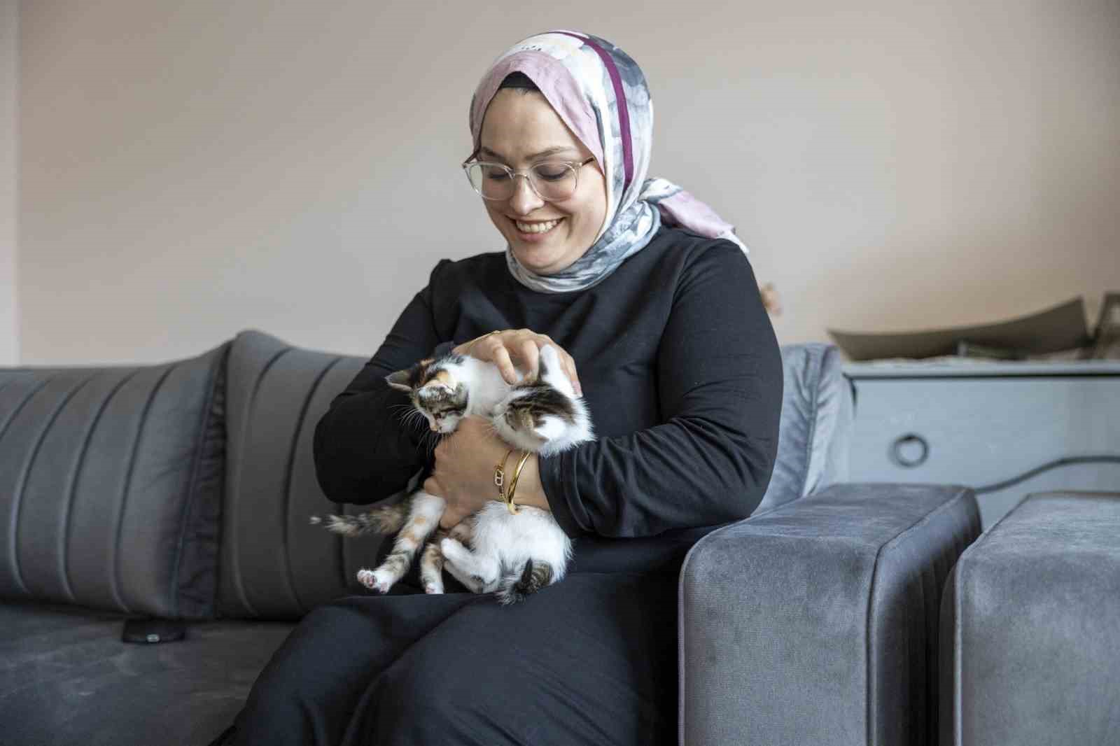 Cami avlusuna sığınan anne kedinin yavruları sahiplendirilecek
