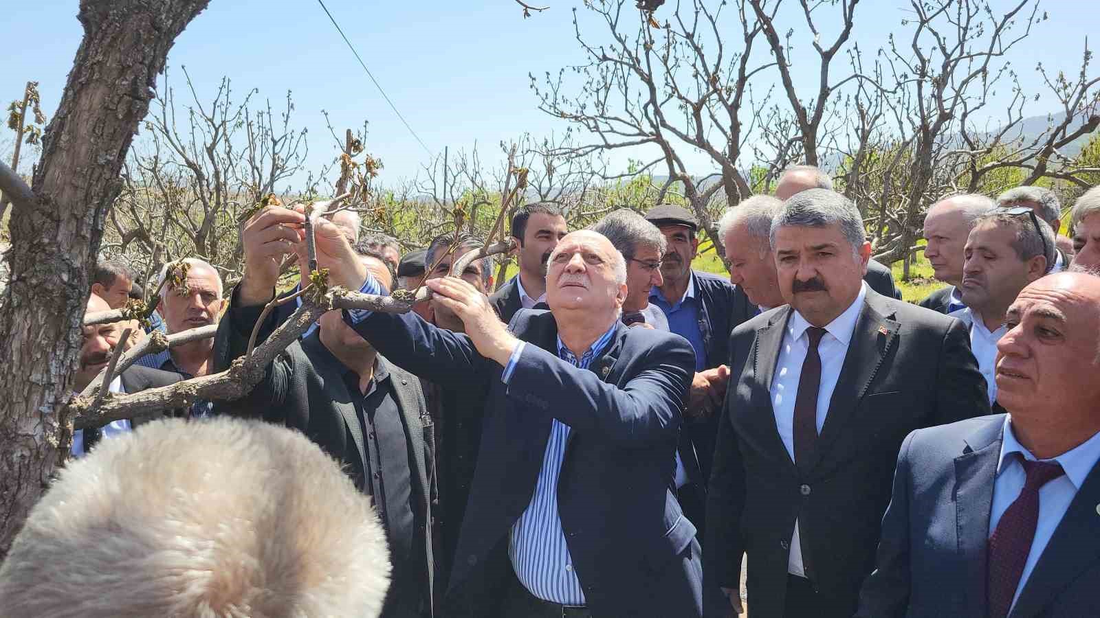 TZOB Genel Başkanı Şemsi Bayraktar zirai don vuran bahçeleri inceledi