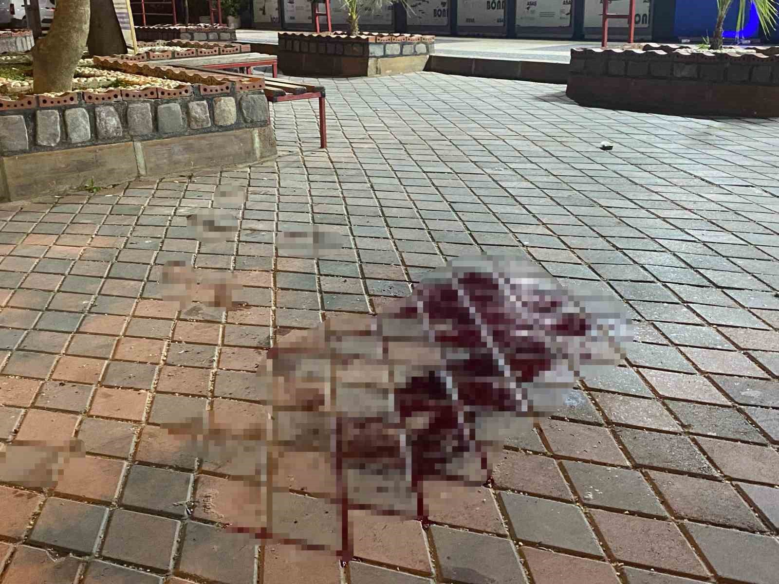 Eşini &ouml;ld&uuml;rd&uuml;, 8 yaşındaki kızını da yaraladı
