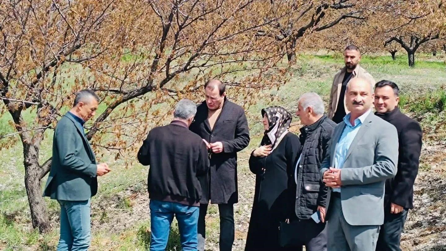 Baskil’de dondan etkilenen meyve bahçelerinde inceleme