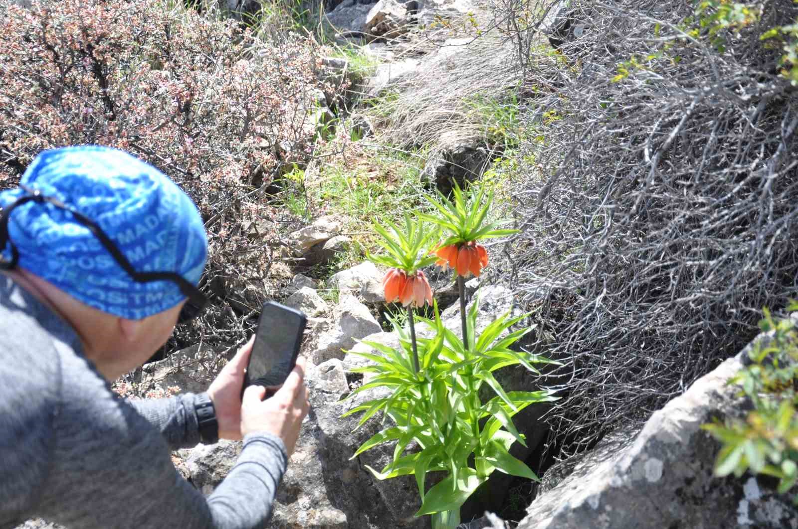 2 bin 900 rakımdaki ters laleleri görmek için geldiler