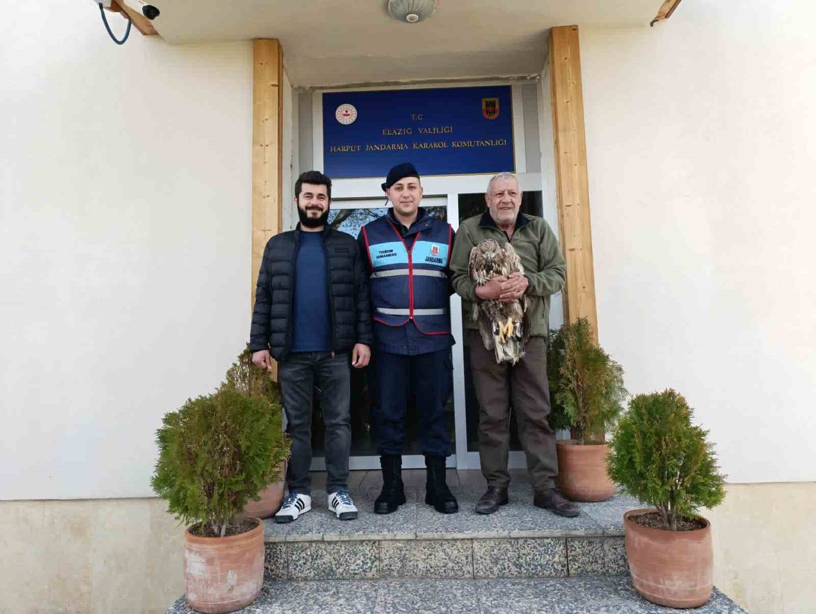 Yaralı kaya kartalına jandarma şefkati