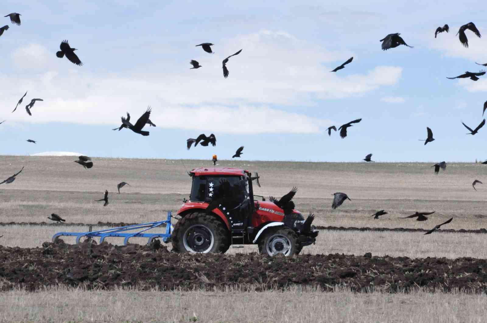 Kars’ta tohumlar toprakla buluşuyor