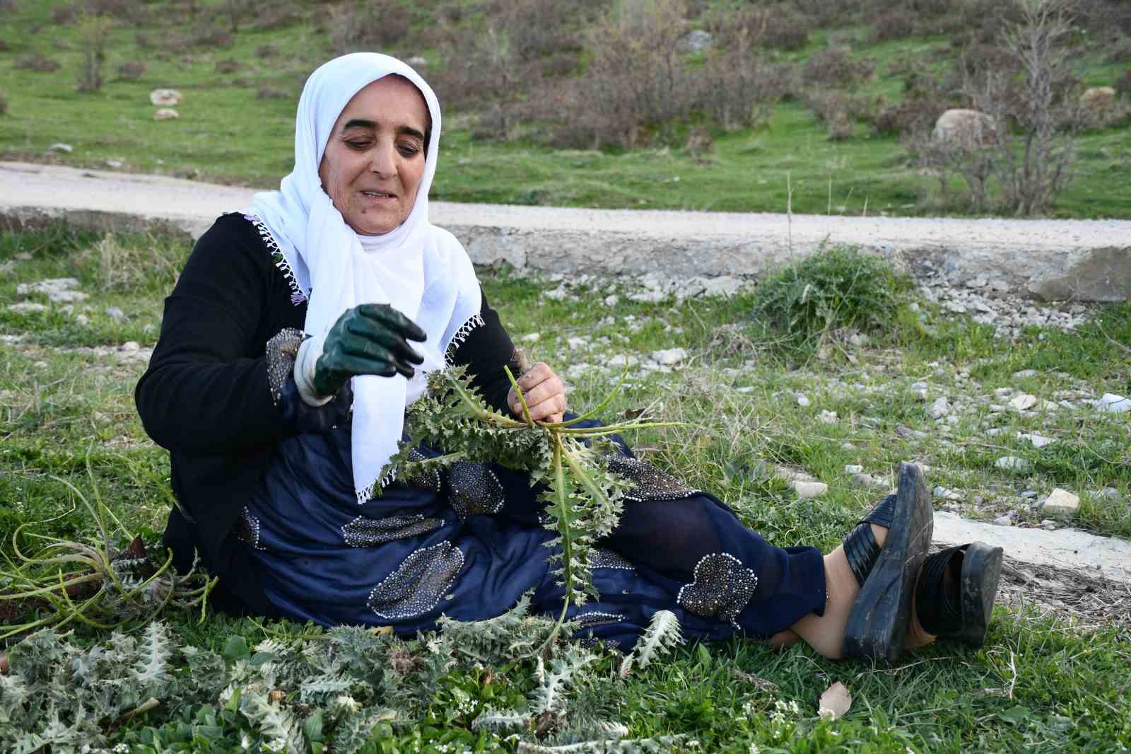 Huzura kavuşan Herekol Dağı’nda vatandaşlar pancar topladı
