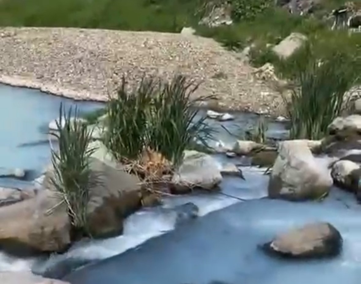 Marmara Denizi tehlikede