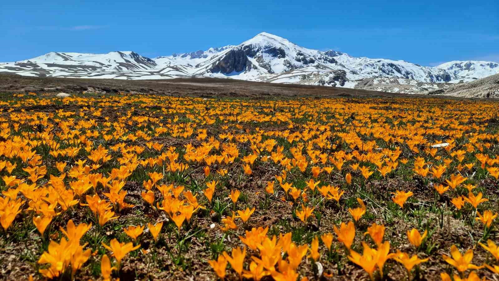 Yüksek rakımlı Geyik Dağları hayran bırakıyor
