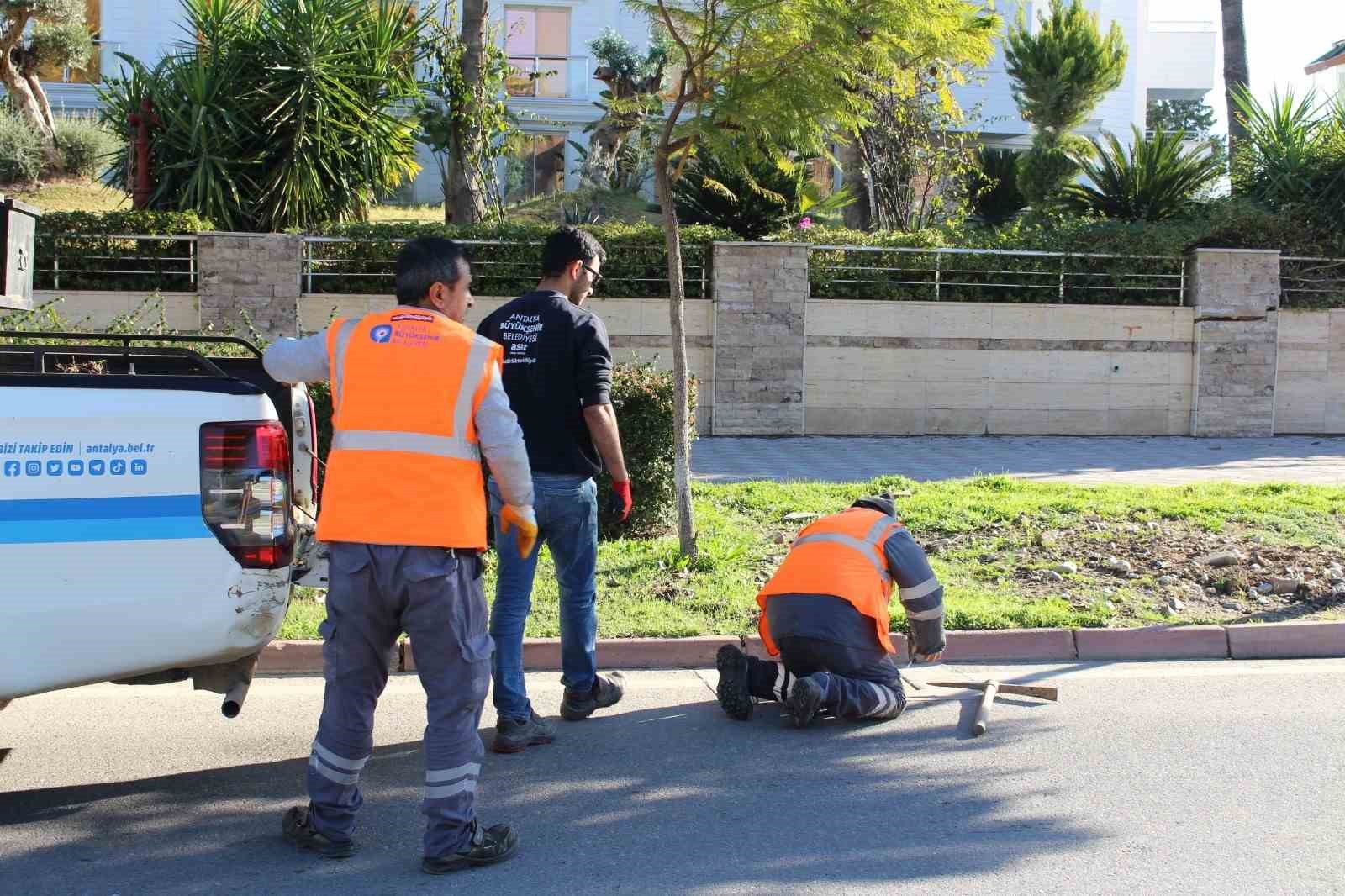 B&uuml;y&uuml;kşehir&rsquo;den Kemer&rsquo;de peyzaj &ccedil;alışması
