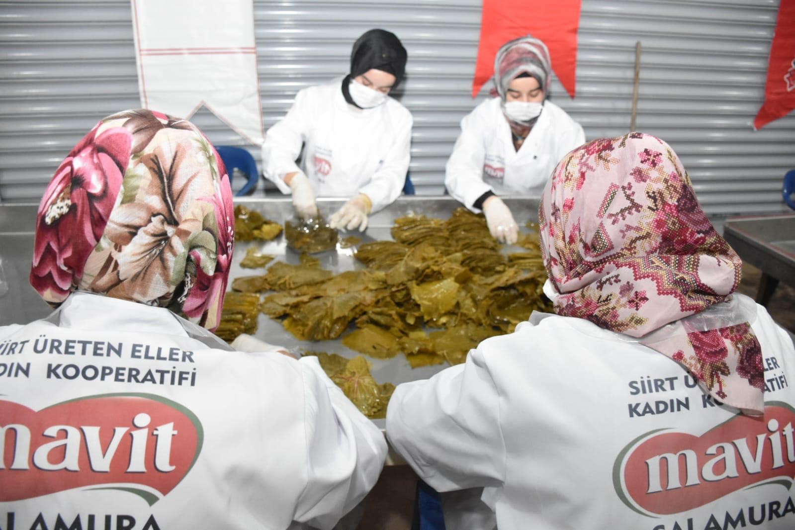 Siirt&rsquo;te kooperatiflere hibe desteği başvuruları başladı
