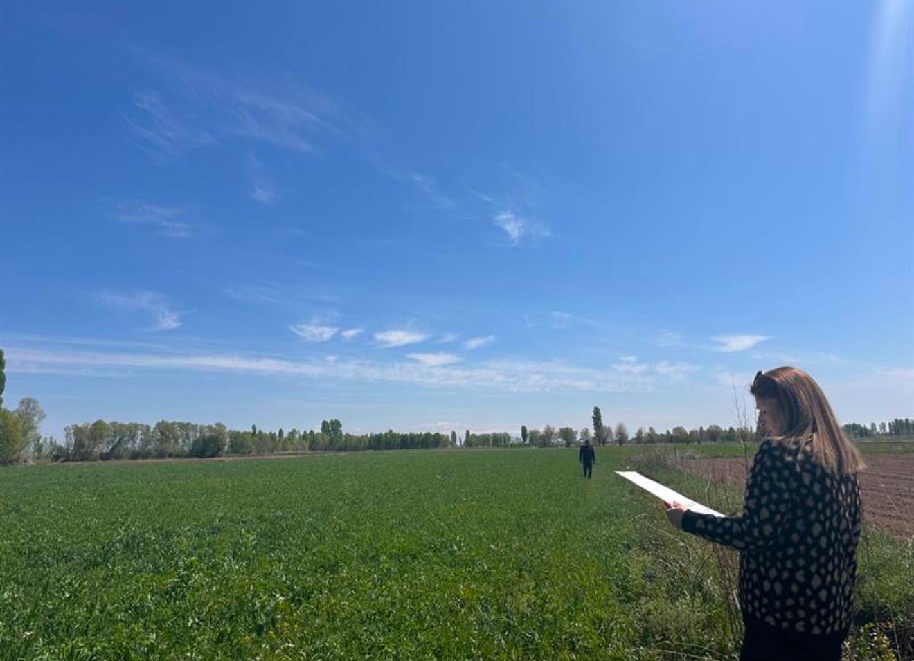 Iğdır’da yem bitkileri kontrolleri devam ediyor