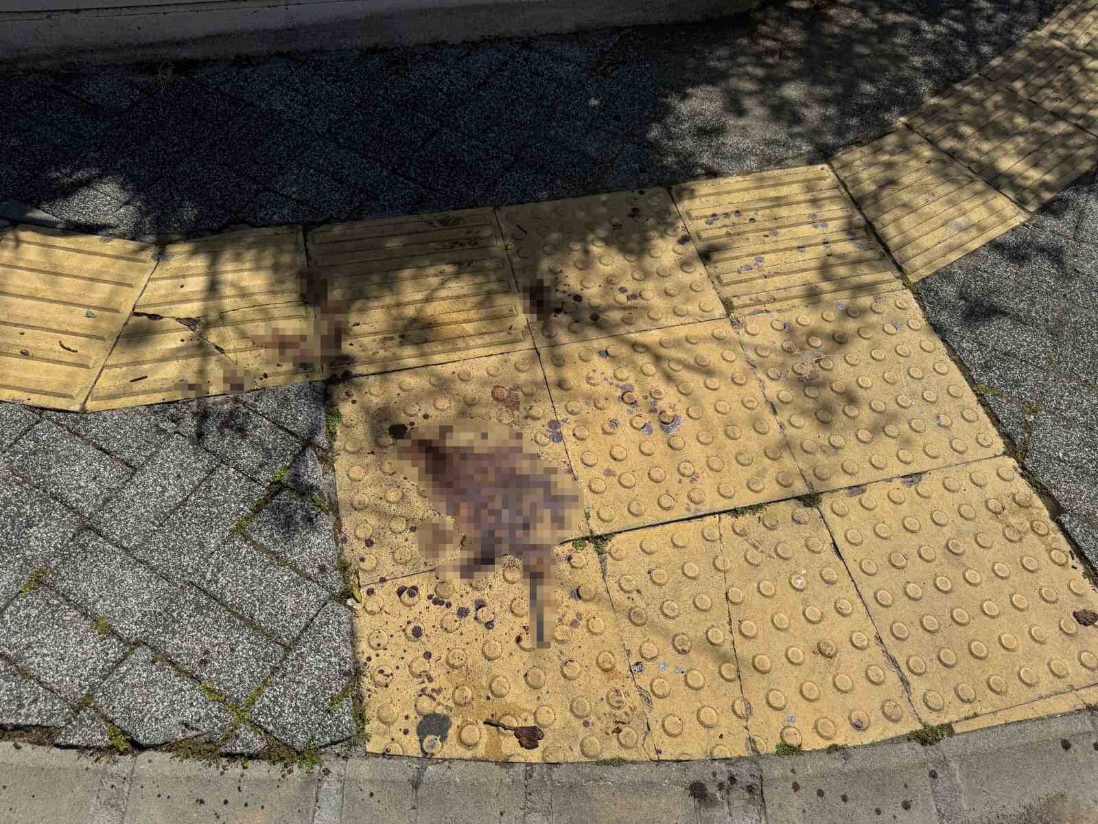 Gazeteci Ersan’a saldırıyla ilgili 5 şüpheli gözaltına alındı