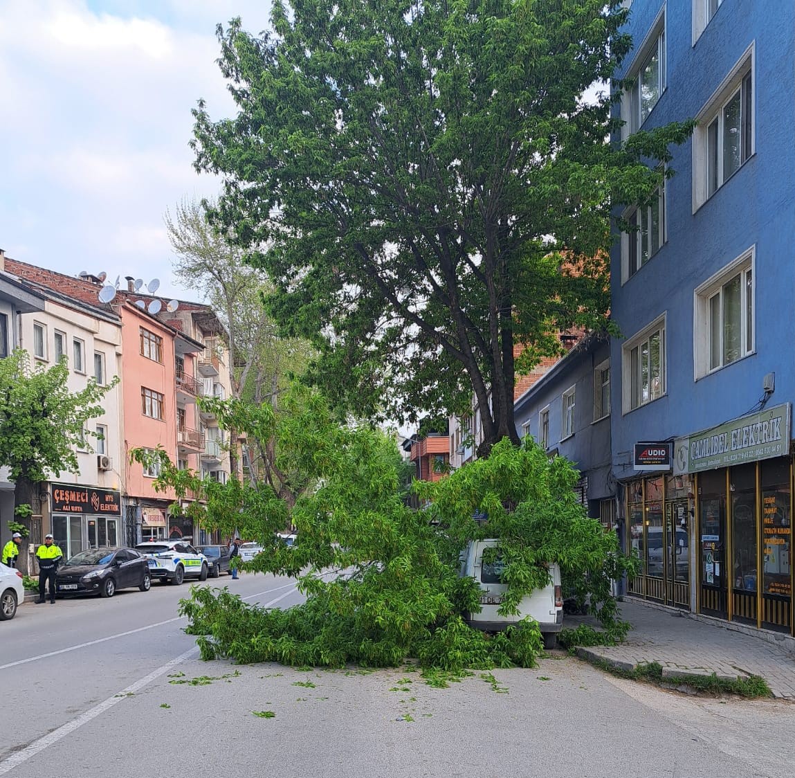 Kırılan ağaç, kamyonetin üzerine devrildi