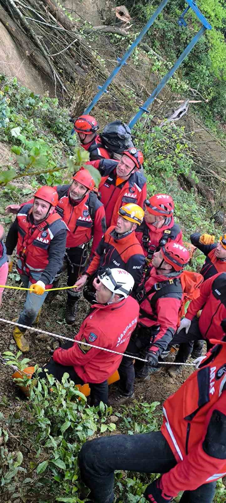Üzerine ağaç devrildi, hayatını kaybetti