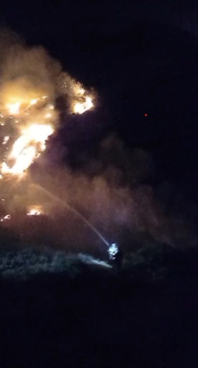 Sazlık alanda çıkan yangın büyümeden kontrol altına alındı