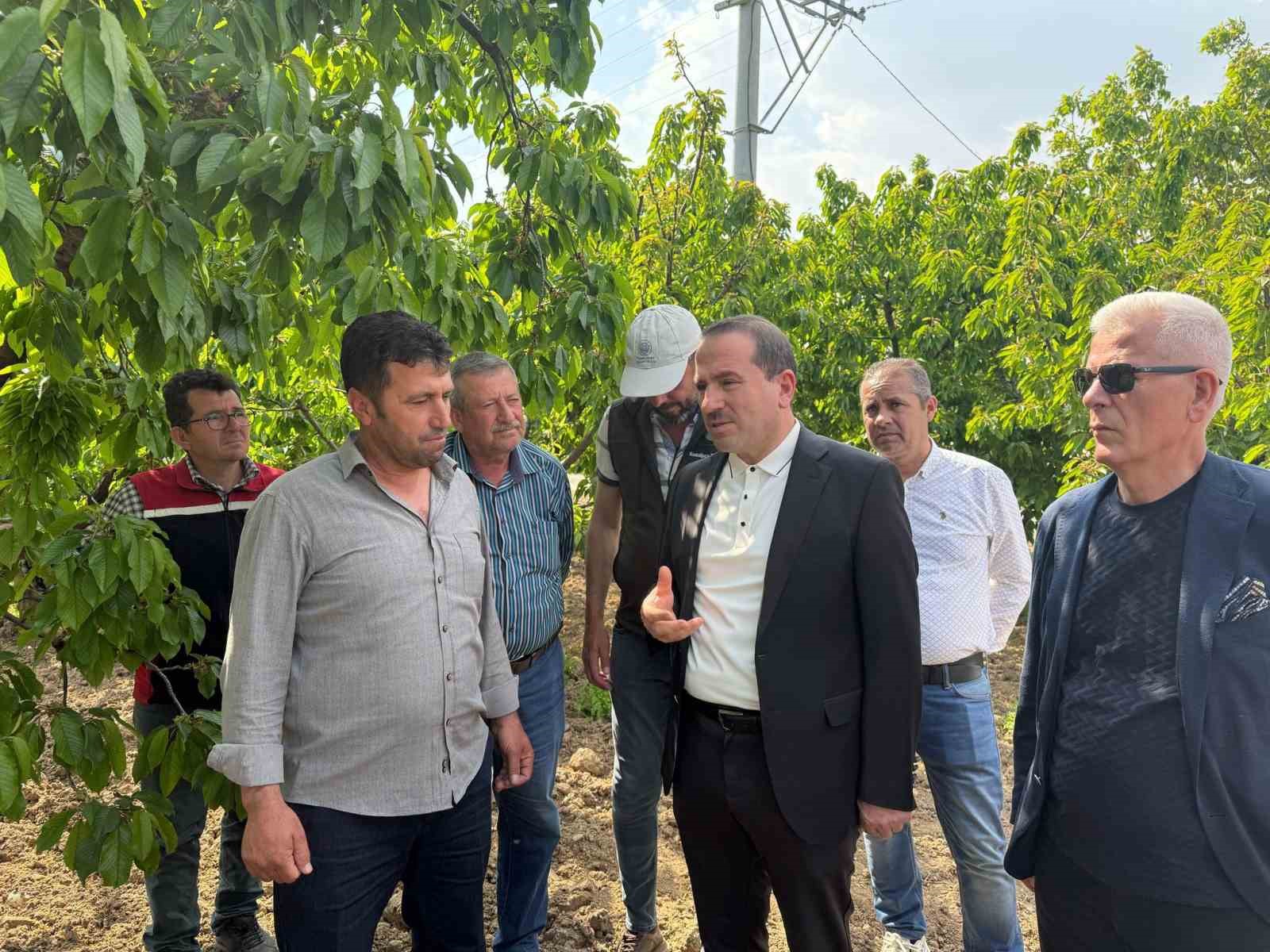 AK Partili Kırkpınar, zirai don yaşanan bölgelerde incelemelerde bulundu