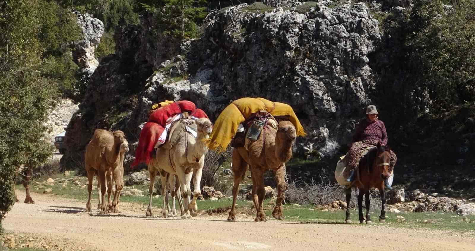 Sarıkeçili Yörükleri yaylalara göç yolculuğuna başladı