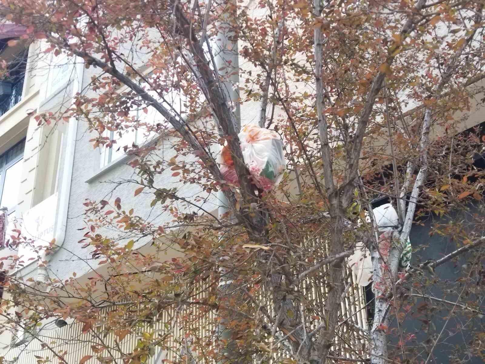 Ağaç dalları çöp açtı