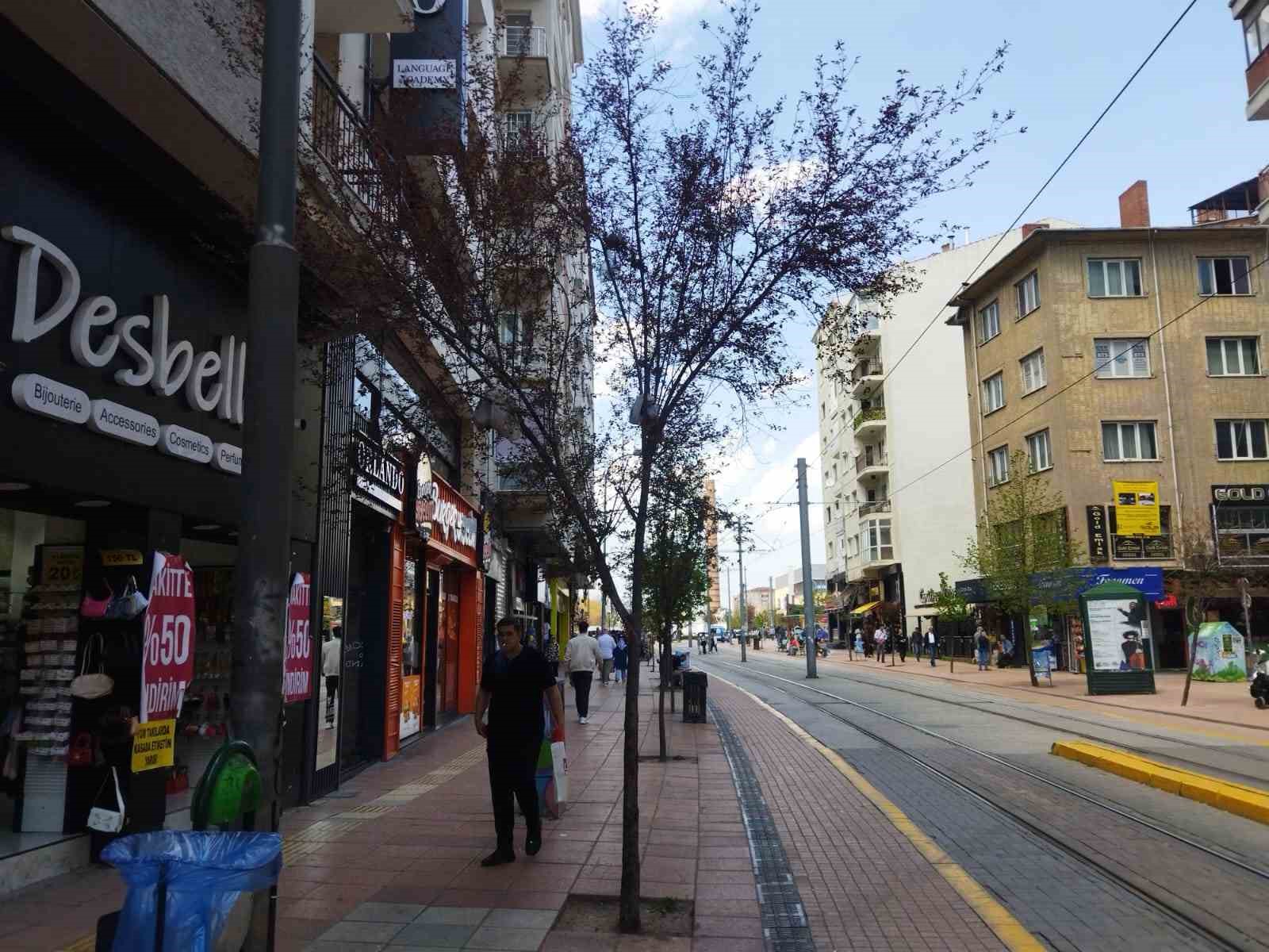 Ağa&ccedil; dalları &ccedil;&ouml;p a&ccedil;tı
