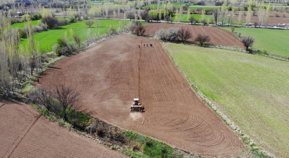 Tarım-GFE yıllık yüzde 28,92 arttı