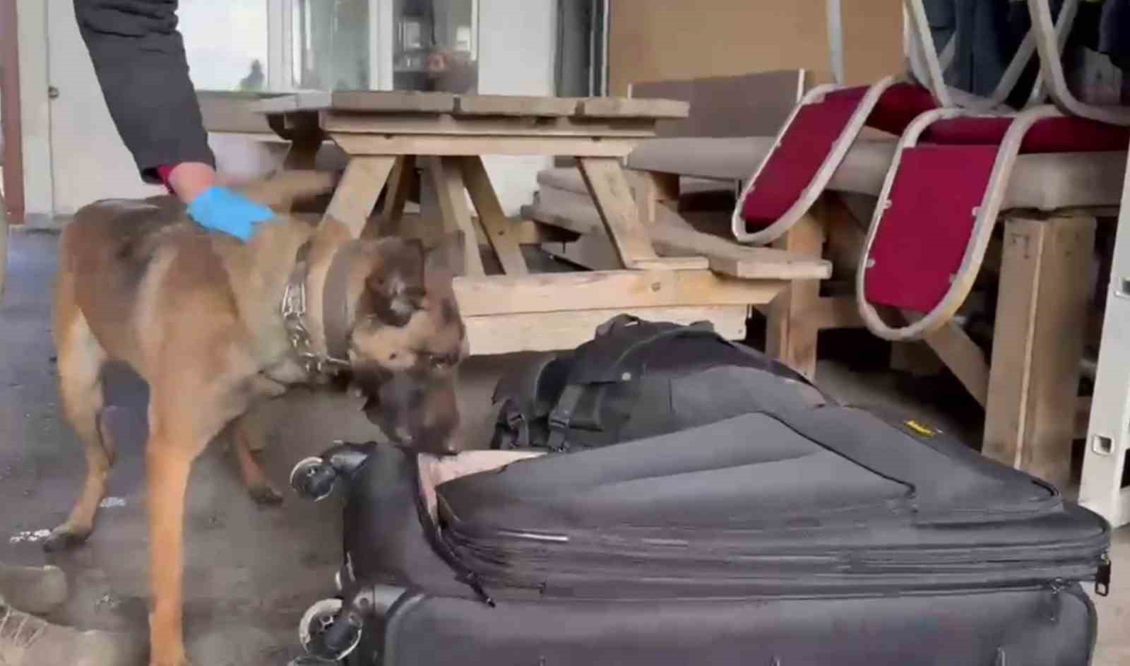 Hera yine uyuşturucuya geçit vermedi