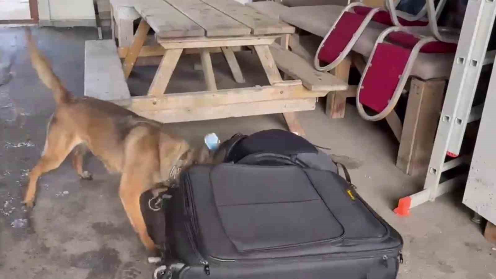 Hera yine uyuşturucuya geçit vermedi