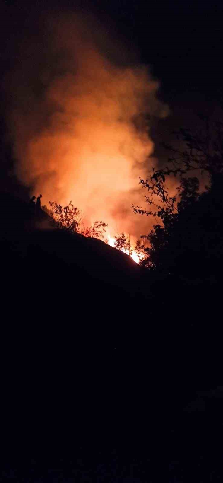 Burdur&rsquo;da 3 farklı noktada başlayan sazlık yangınında 15 dekar alan yandı
