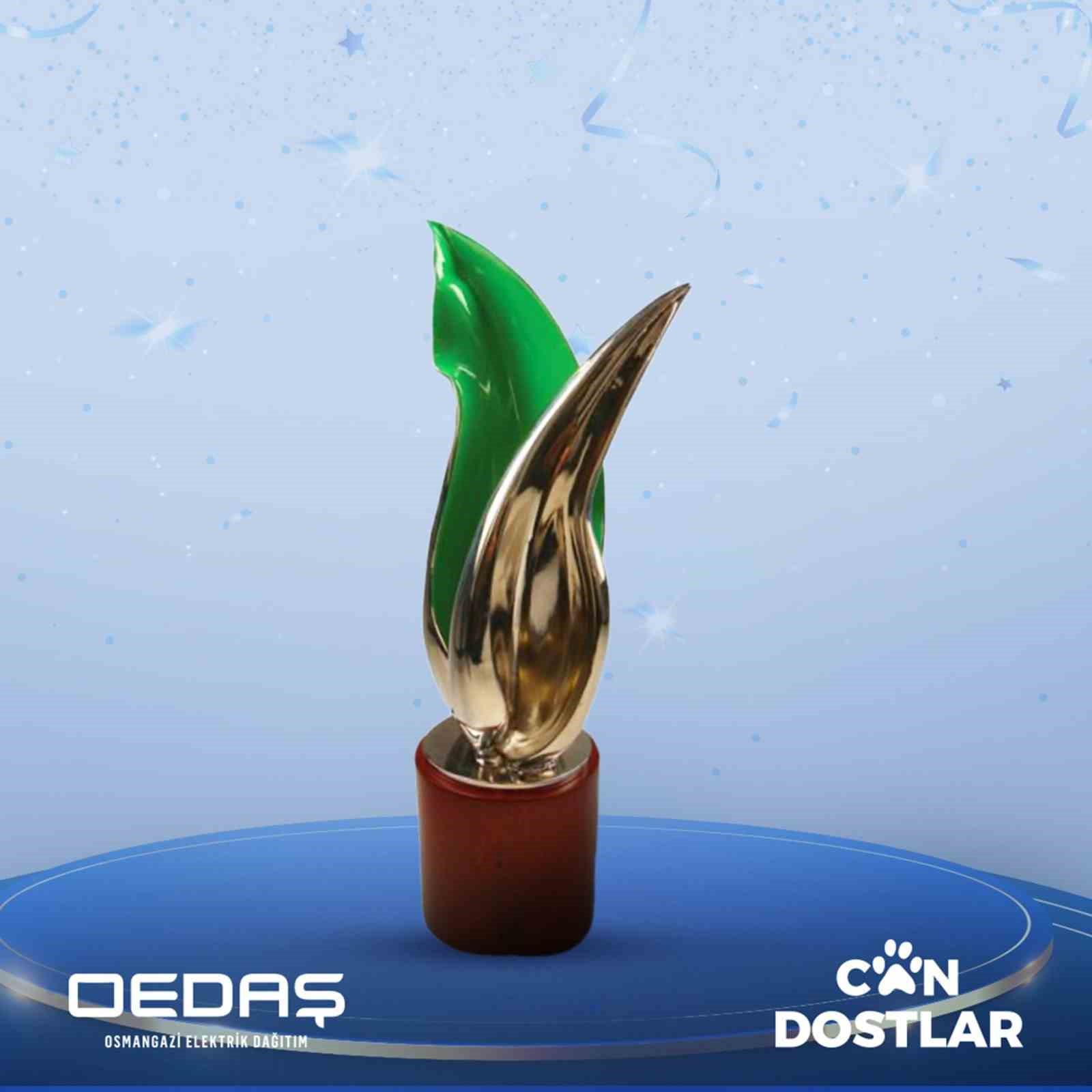 OEDAŞ’ın Can Dostlar projesine uluslararası ödül