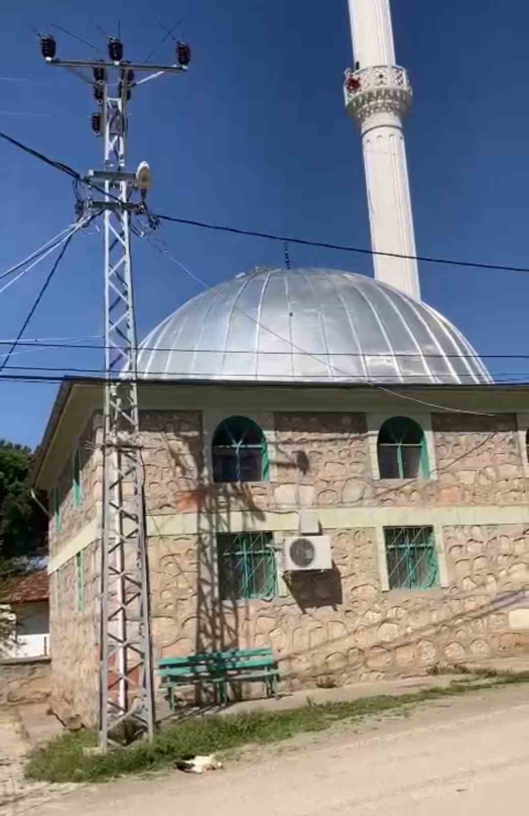 Cami &uuml;zerindeki &Ccedil;EDAŞ hattı leyleği telef etti
