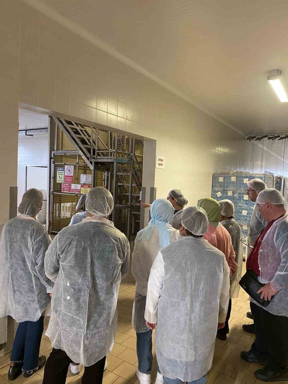 Akademi Öğretmenleri ayran fabrikasını inceledi