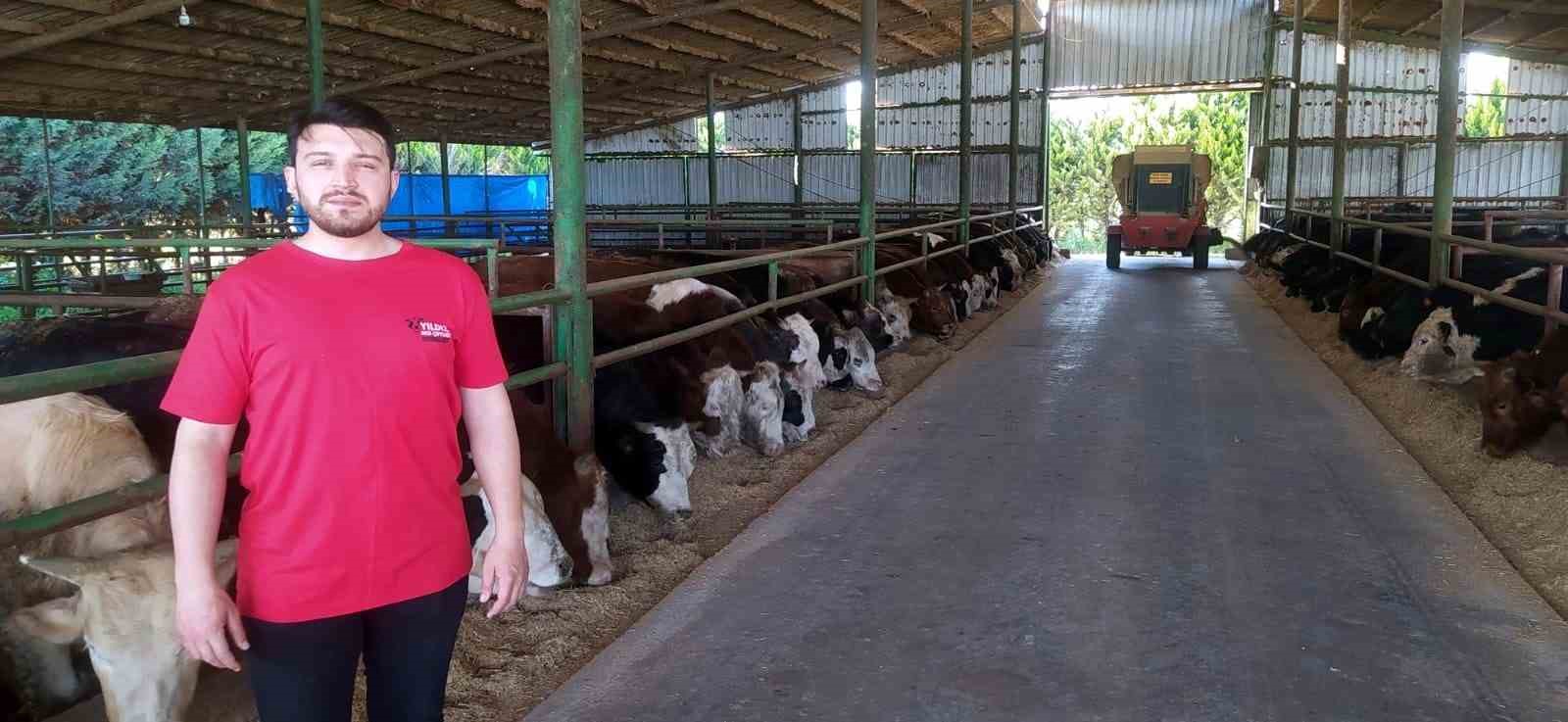 Kurbanlık fiyatlarında ge&ccedil;en yıla oranla b&uuml;y&uuml;k değişiklik yok
