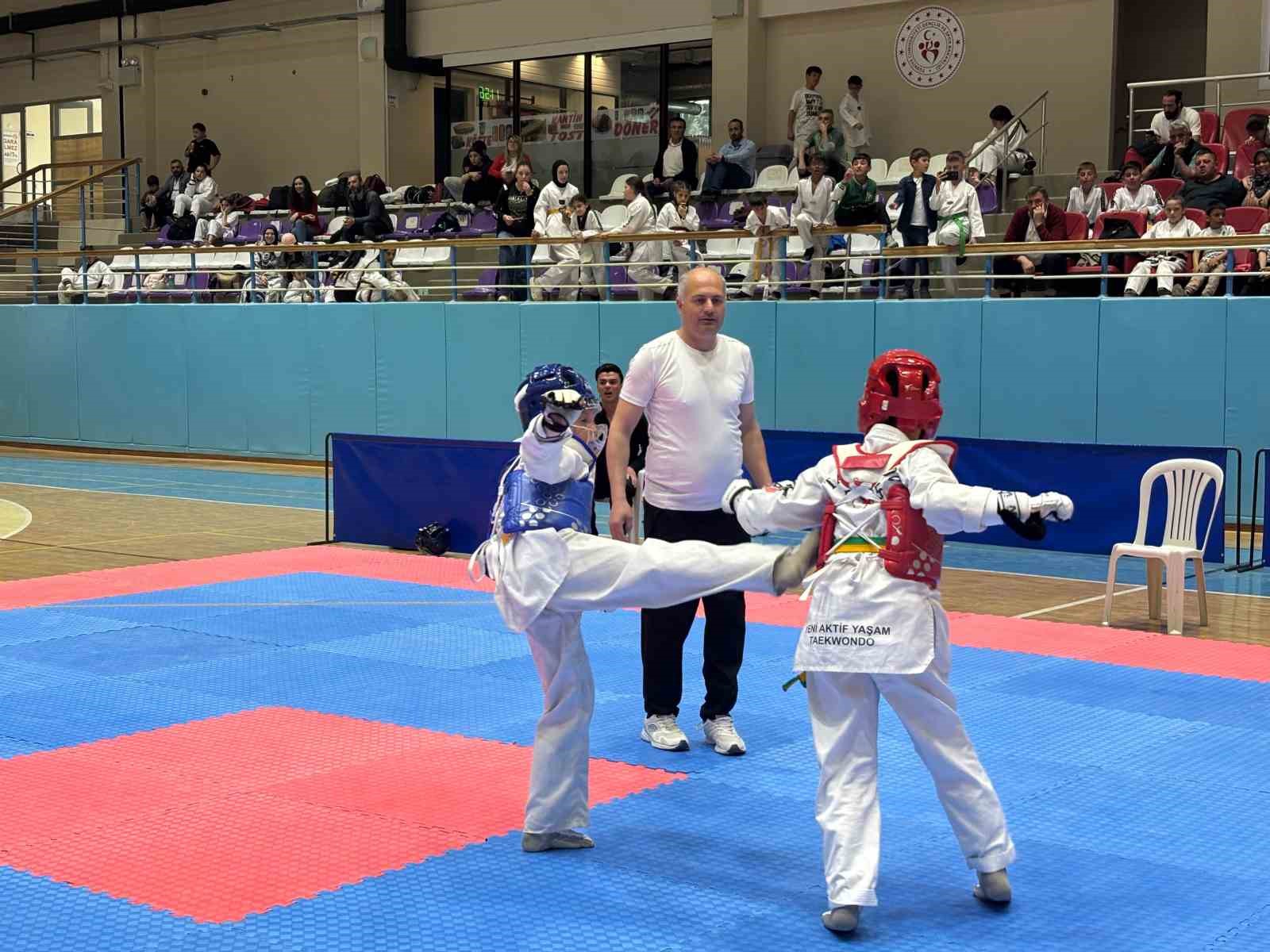 23 Nisan Taekwondo Müsabakaları tamamlandı