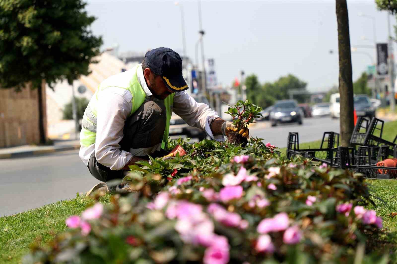 Sakarya yaza hazırlanıyor
