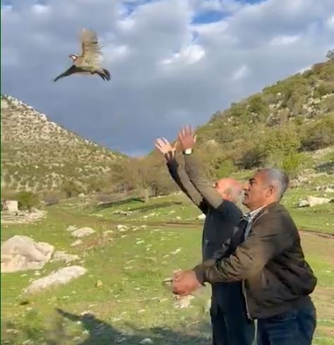 Yasa dışı avlanan kınalı keklikler doğaya salındı
