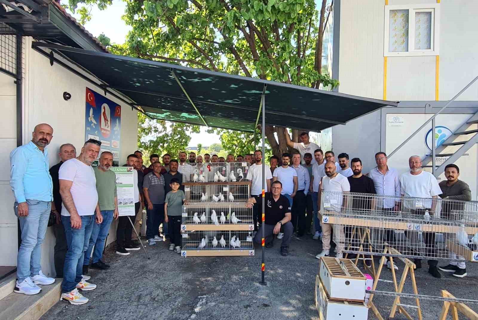 Azman güvercinler güzellikleriyle yarıştı