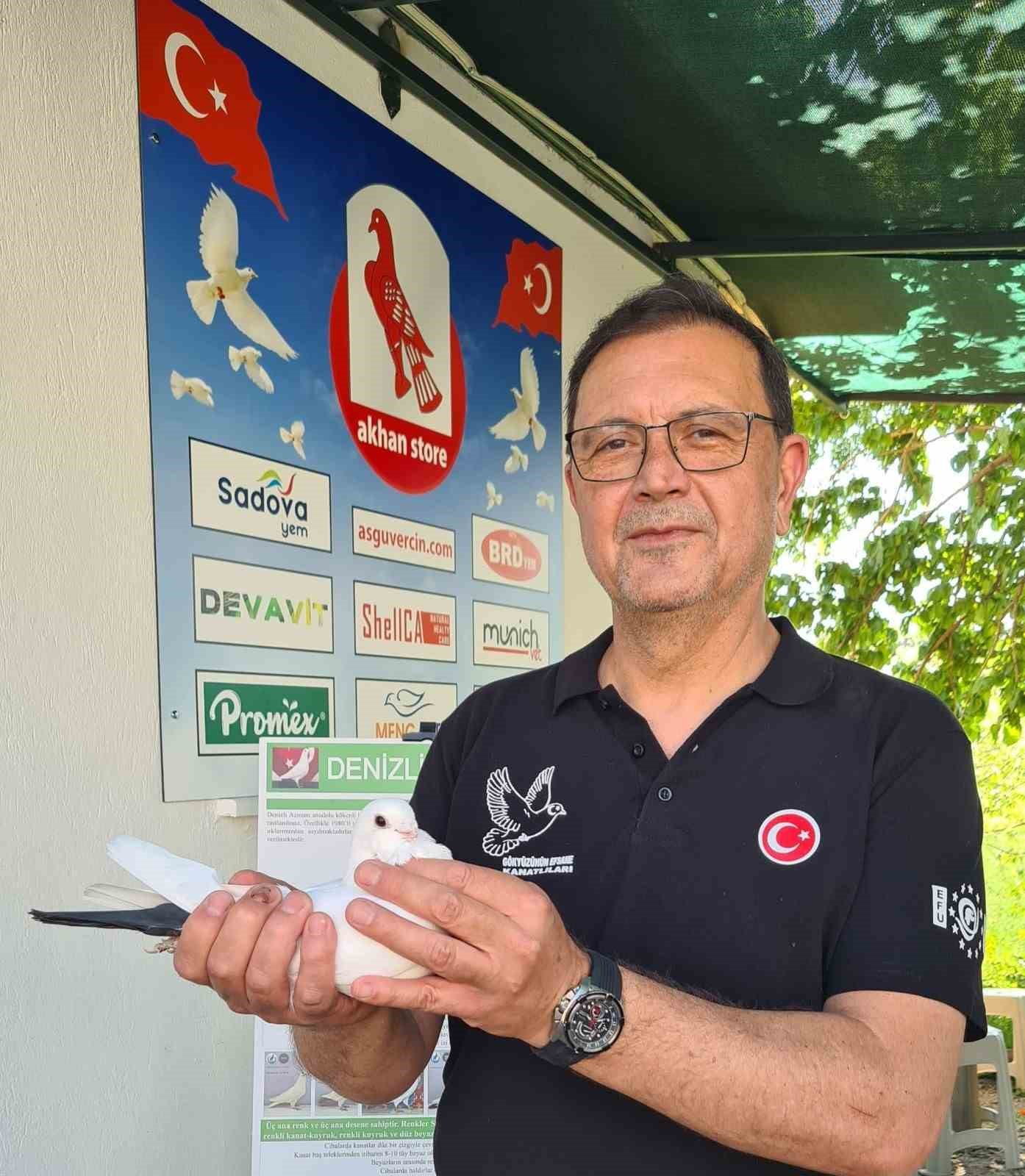 Azman g&uuml;vercinler g&uuml;zellikleriyle yarıştı
