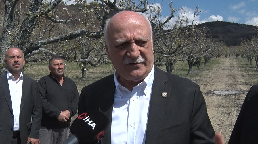 TZOB Başkanı Bayraktar: "Gövdesi yanan ağaçlar seneye de meyve vermeyebilir"