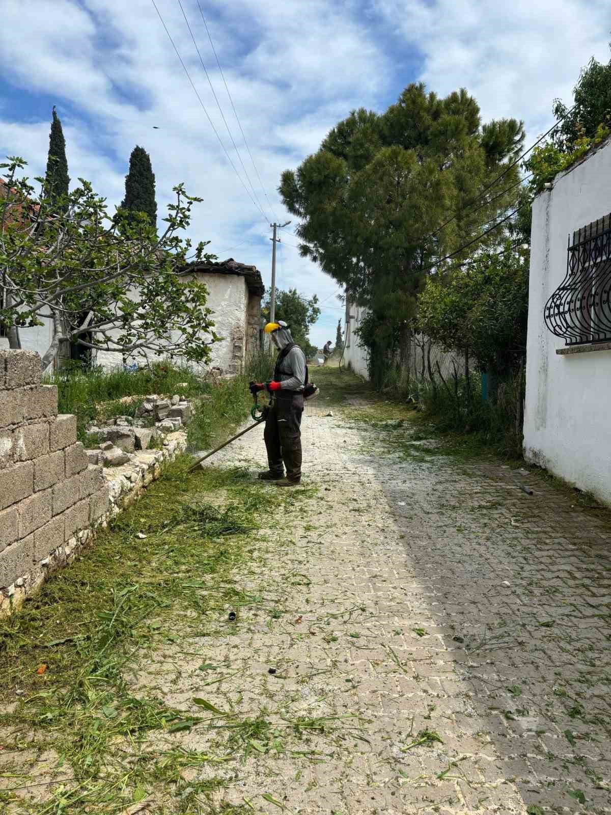Belediye ekipleri Akköy’de otlara geçit vermiyor