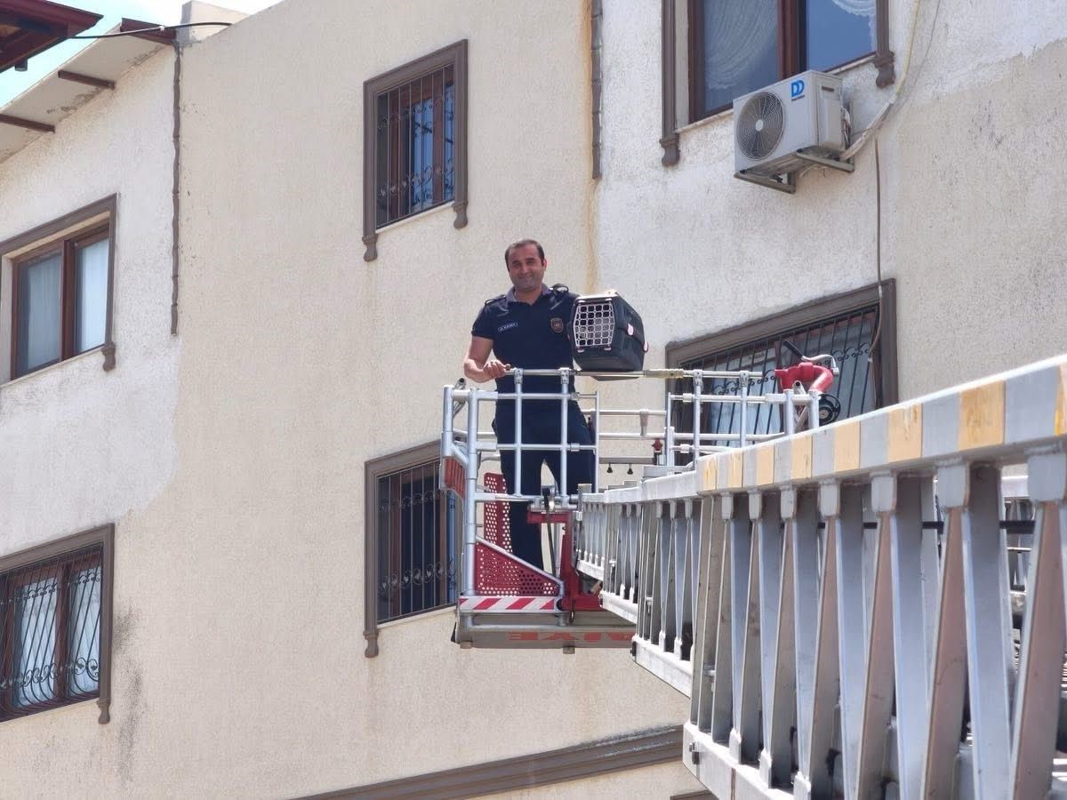 Pencere korkuluklarında mahsur kalan kediyi itfaiye kurtardı