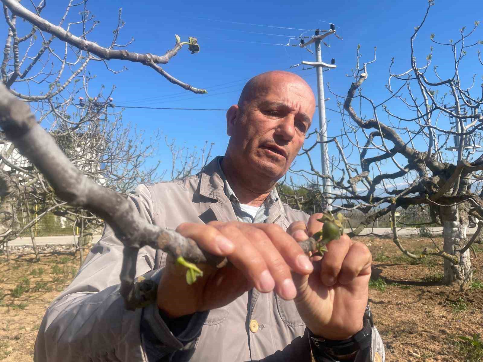Zirai don Bursa siyahını çok etkilemedi