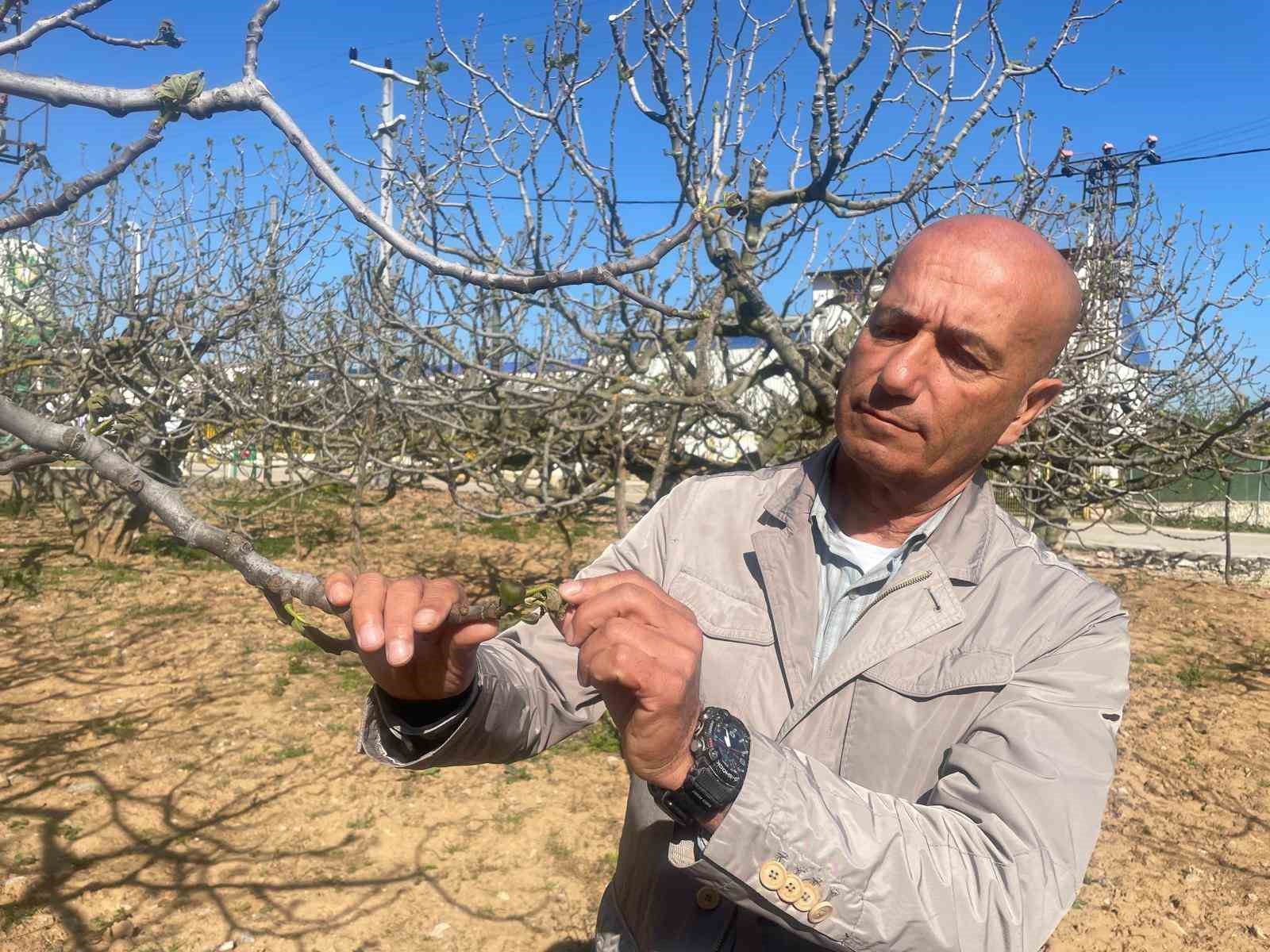 Zirai don Bursa siyahını &ccedil;ok etkilemedi
