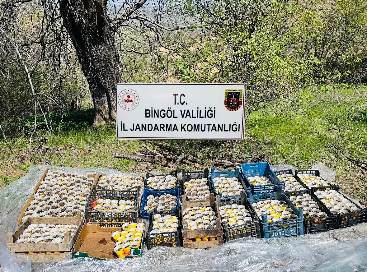 Bing&ouml;l&rsquo;de aranan 2 ş&uuml;pheli yakalandı
