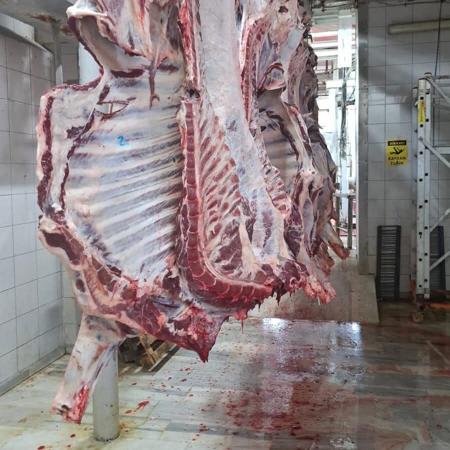 Tekirdağ’da kaçak hayvan sevkiyatına ağır ceza