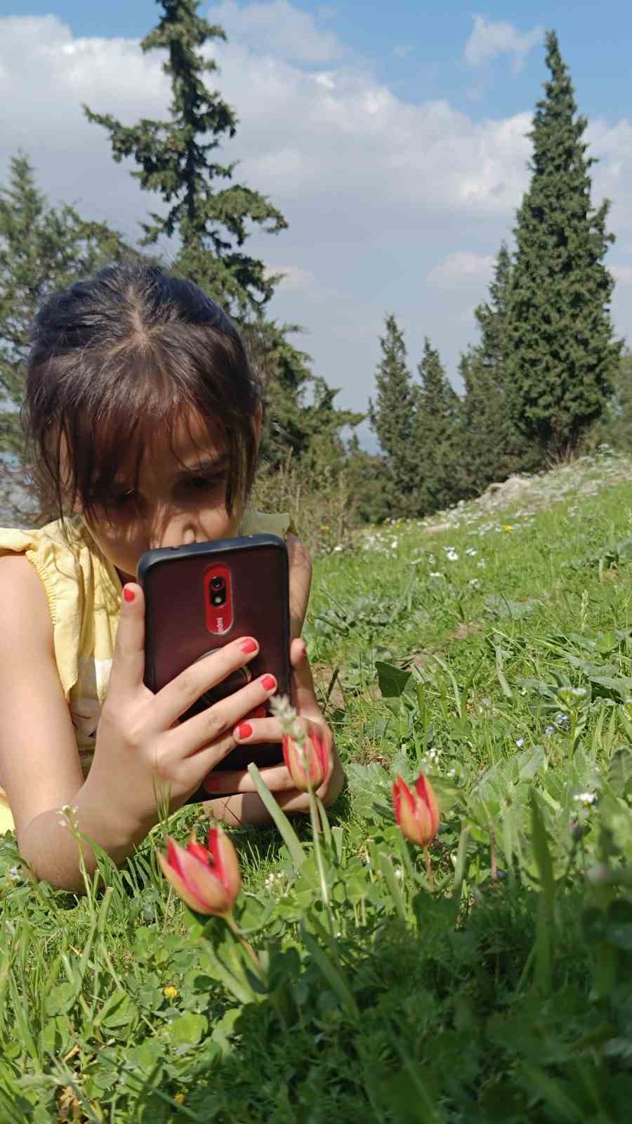 Senede bir kere a&ccedil;ıp 10 g&uuml;n yaşıyor
